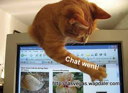 funny pictures 3
